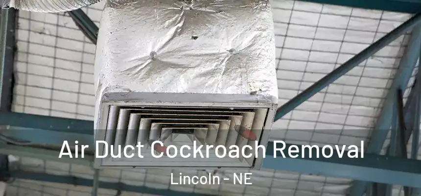 Air Duct Cockroach Removal Lincoln - NE