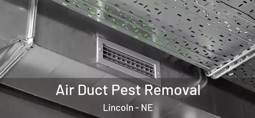 Air Duct Pest Removal Lincoln - NE