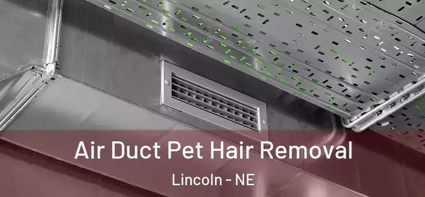 Air Duct Pet Hair Removal Lincoln - NE