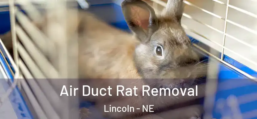 Air Duct Rat Removal Lincoln - NE