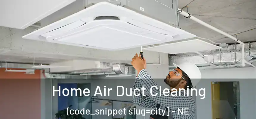  Home Air Duct Cleaning (code_snippet slug=city] - NE