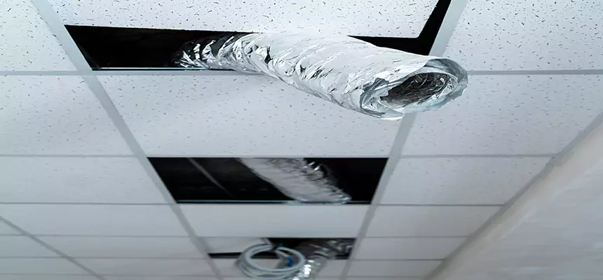 Our Air Duct Pet Hair Removal Services in Lincoln, NE