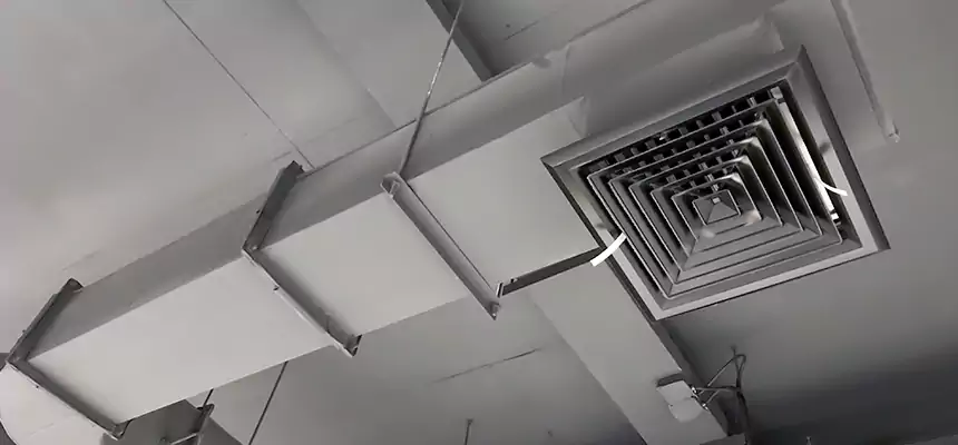 Our Pest Removal From Ducts Services in Lincoln, NE