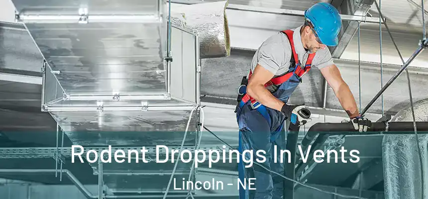  Rodent Droppings In Vents Lincoln - NE