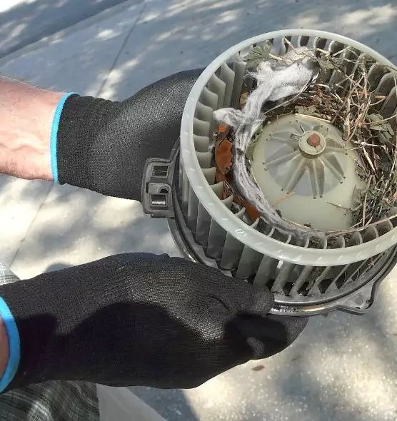 About Air Duct Mice Removal in Lincoln, NE