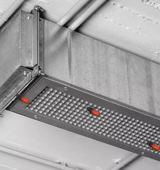 Affordable Insect Removal from Air Ducts in Lincoln, NE