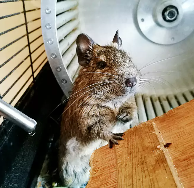 Why Homeowners & Businesses Trust Us Lincoln, NE