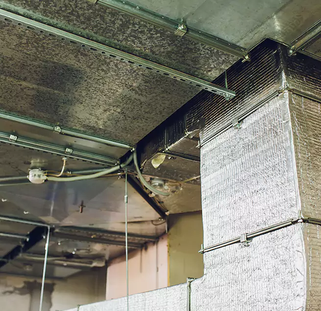 Why Homeowners & Businesses Trust Us in Lincoln, NE?